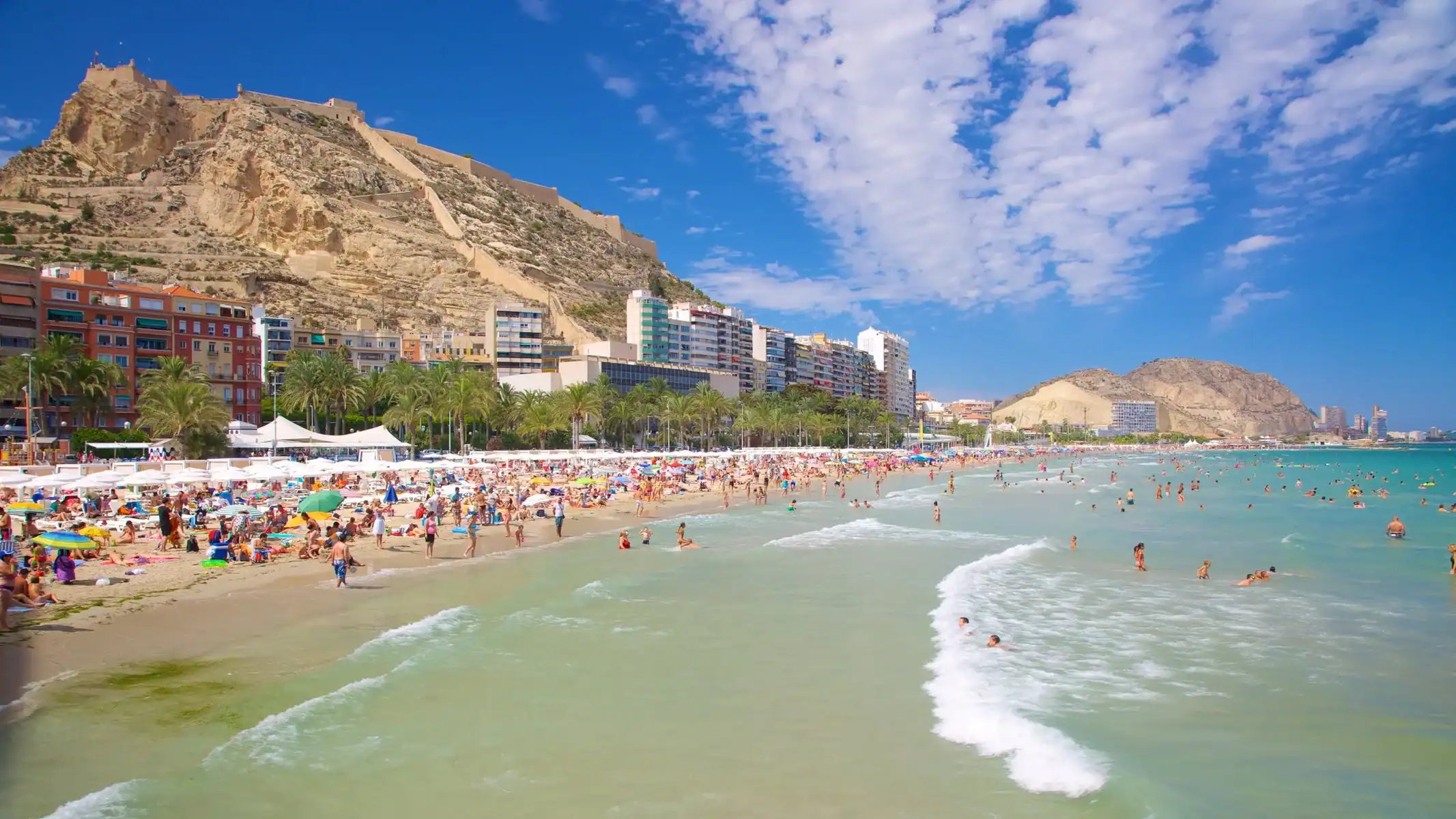 Zonnig strand van Alicante met blauwe zee en palmbomen, ideaal voor een nieuw leven aan de Costa Blanca